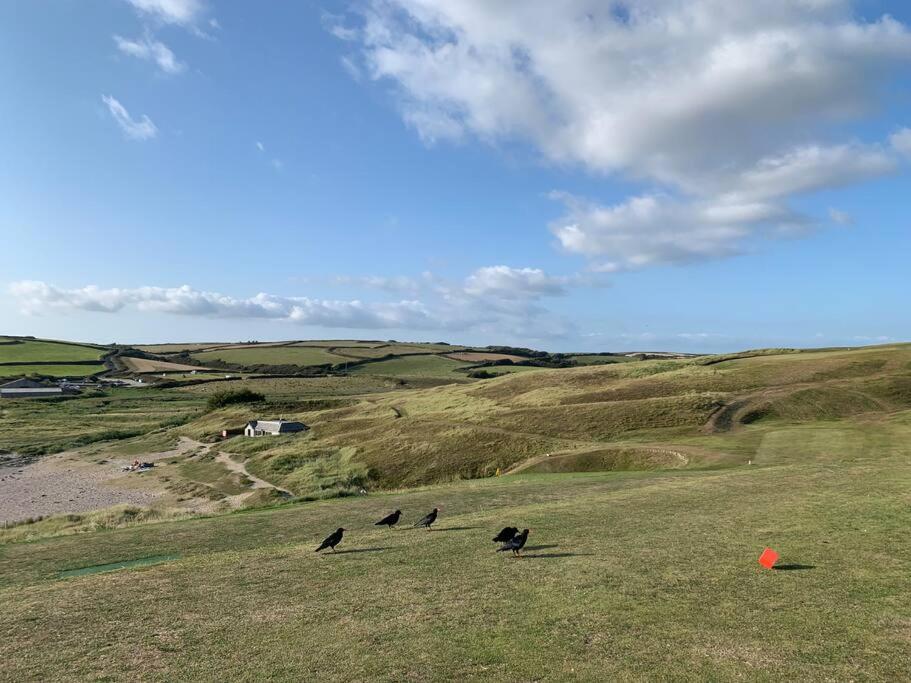 הלסטון Chough Cottage מראה חיצוני תמונה
