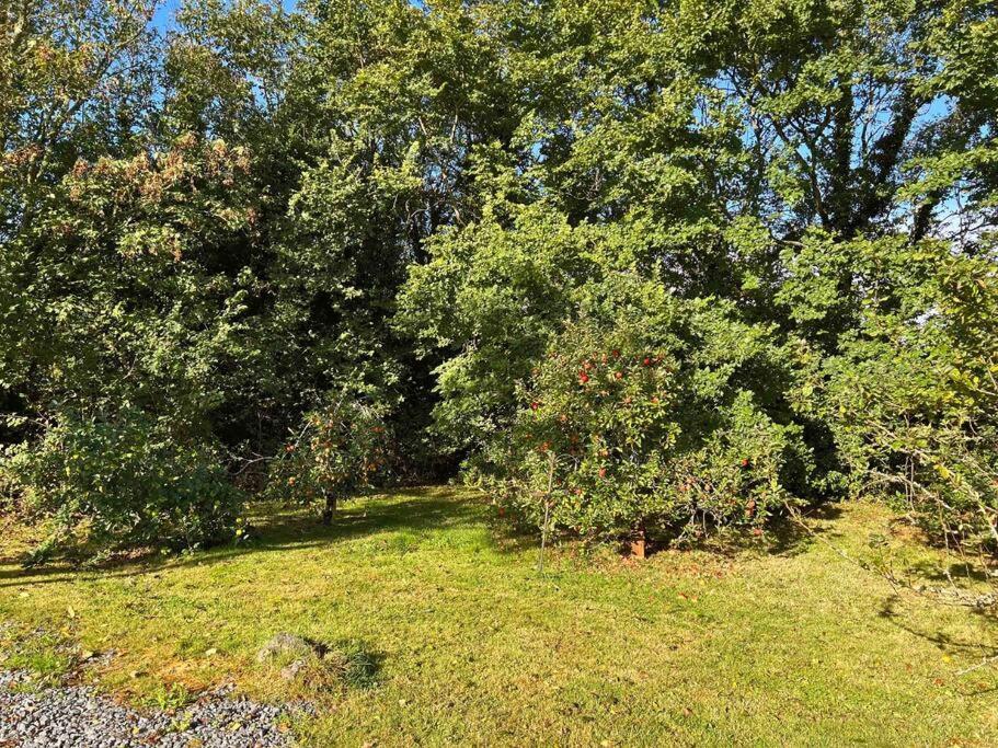 הלסטון Chough Cottage מראה חיצוני תמונה